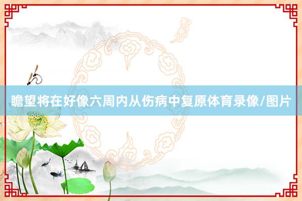瞻望将在好像六周内从伤病中复原体育录像/图片
