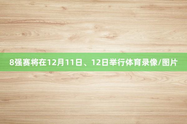 8强赛将在12月11日、12日举行体育录像/图片