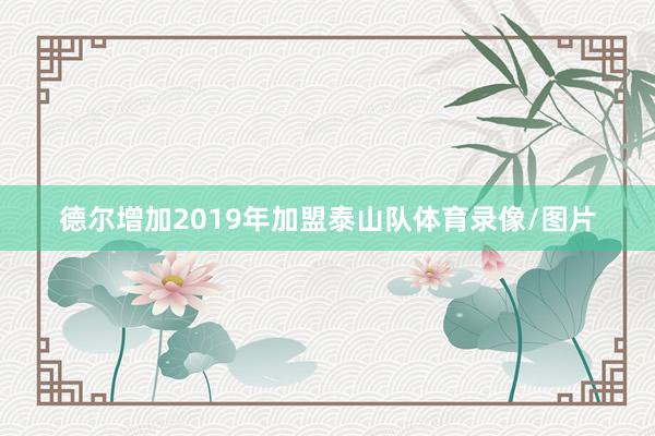 德尔增加2019年加盟泰山队体育录像/图片