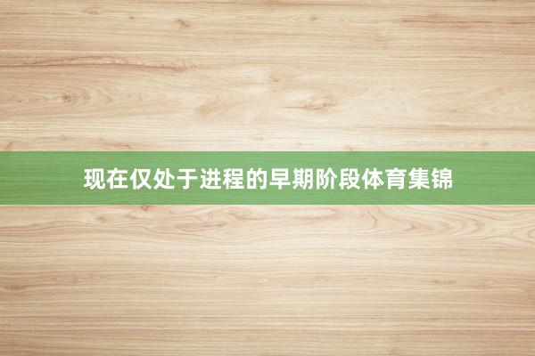 现在仅处于进程的早期阶段体育集锦